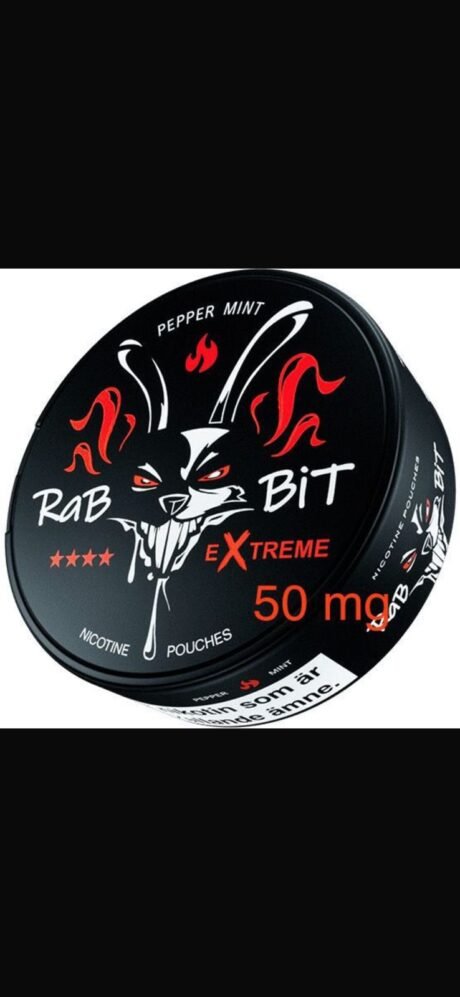 rabbit